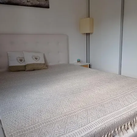 Blonde Cat Apartment