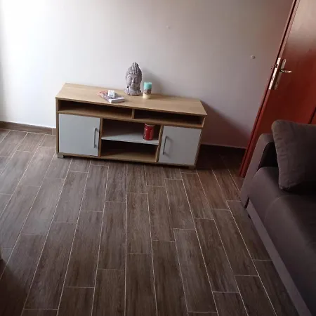 Blonde Cat Apartment *